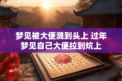 梦见被大便溅到头上 过年梦见自己大便拉到炕上