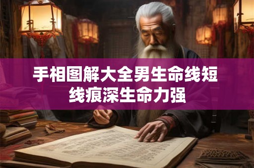 手相图解大全男生命线短 线痕深生命力强