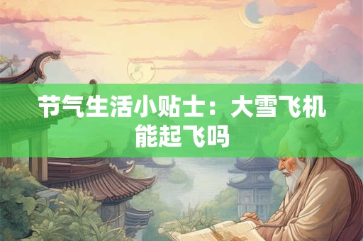 节气生活小贴士：大雪飞机能起飞吗