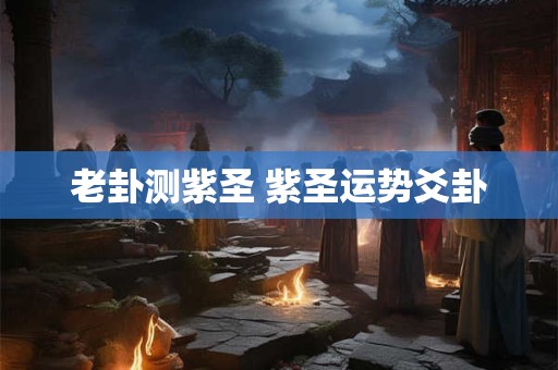 老卦测紫圣 紫圣运势爻卦