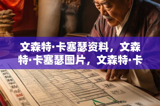 文森特·卡塞瑟资料，文森特·卡塞瑟图片，文森特·卡塞瑟电影