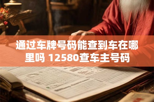 通过车牌号码能查到车在哪里吗 12580查车主号码