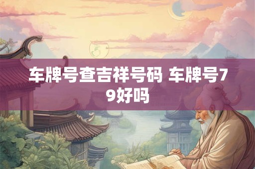 车牌号查吉祥号码 车牌号79好吗
