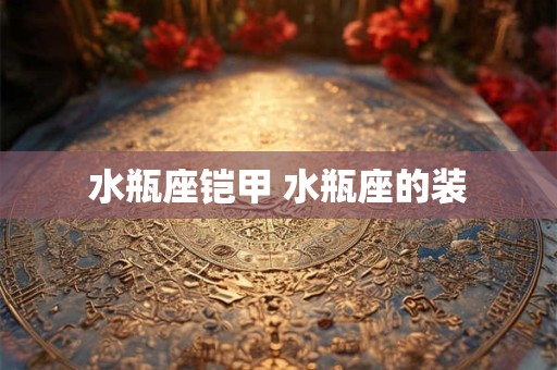 水瓶座铠甲 水瓶座的装