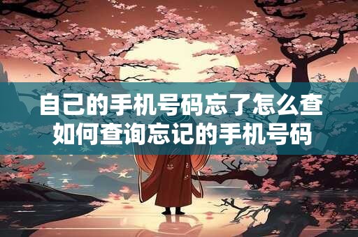 自己的手机号码忘了怎么查 如何查询忘记的手机号码