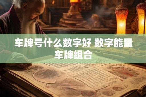 车牌号什么数字好 数字能量车牌组合