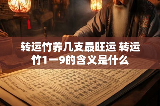 转运竹养几支最旺运 转运竹1一9的含义是什么