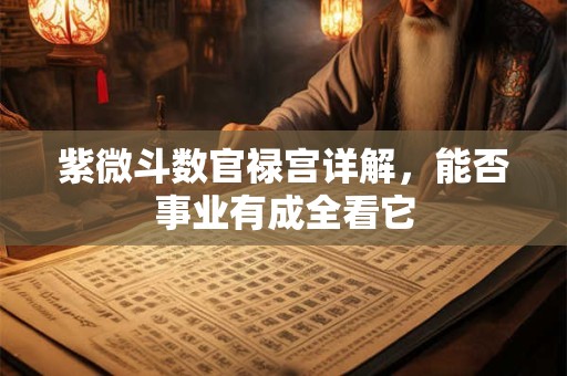 紫微斗数官禄宫详解，能否事业有成全看它