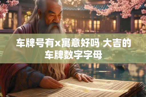车牌号有x寓意好吗 大吉的车牌数字字母