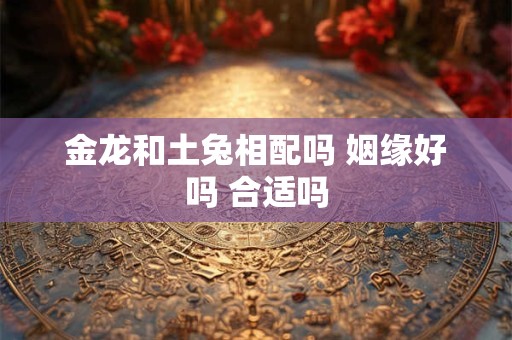 金龙和土兔相配吗 姻缘好吗 合适吗
