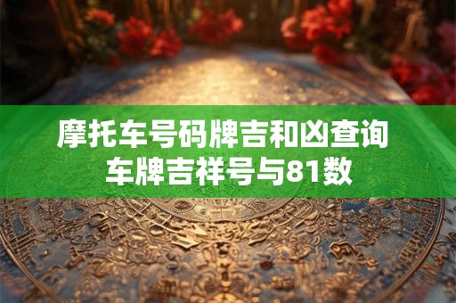摩托车号码牌吉和凶查询 车牌吉祥号与81数