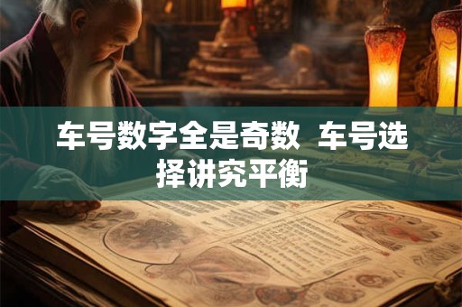 车号数字全是奇数  车号选择讲究平衡