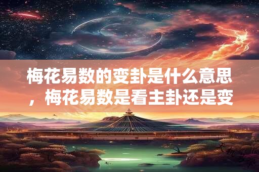 梅花易数的变卦是什么意思，梅花易数是看主卦还是变卦