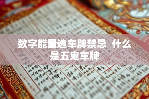 数字能量选车牌禁忌  什么是五鬼车牌