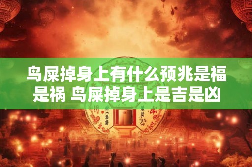 详细阅读:鸟屎掉身上有什么预兆是福是祸 鸟屎掉身上是吉是凶 鸟屎掉身上有什么预兆是福是祸 鸟屎掉身上是吉是凶
