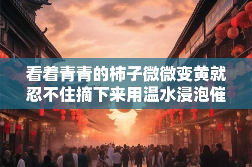 看着青青的柿子微微变黄就忍不住摘下来用温水浸泡催熟它