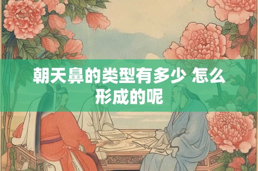 朝天鼻的类型有多少 怎么形成的呢