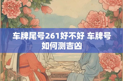 车牌尾号261好不好 车牌号如何测吉凶