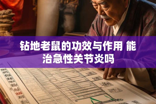 钻地老鼠的功效与作用 能治急性关节炎吗
