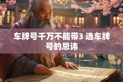 车牌号千万不能带3 选车牌号的忌讳