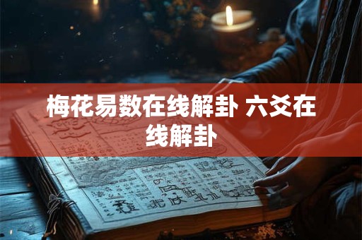 梅花易数在线解卦 六爻在线解卦