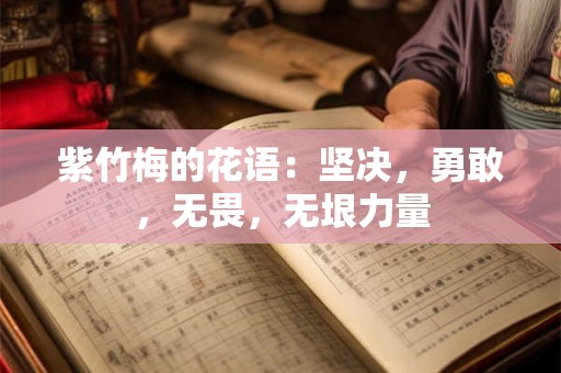 紫竹梅的花语：坚决，勇敢，无畏，无垠力量