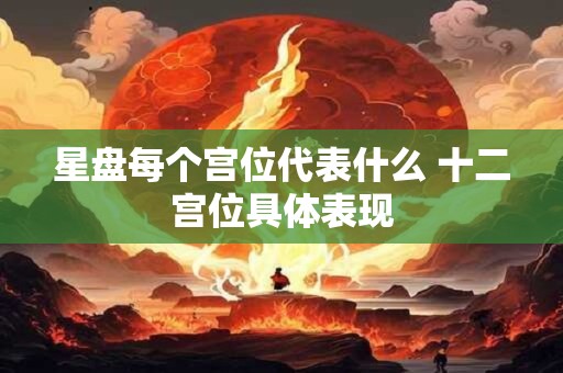 星盘每个宫位代表什么 十二宫位具体表现