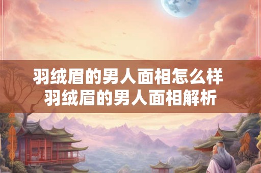 羽绒眉的男人面相怎么样 羽绒眉的男人面相解析
