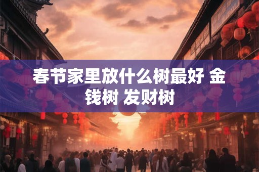 春节家里放什么树最好 金钱树 发财树