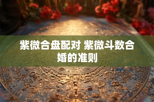 紫微合盘配对 紫微斗数合婚的准则