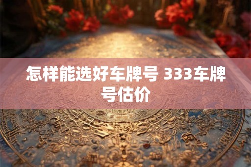 怎样能选好车牌号 333车牌号估价