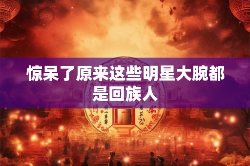 惊呆了原来这些明星大腕都是回族人