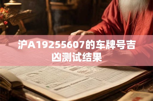 沪A19255607的车牌号吉凶测试结果