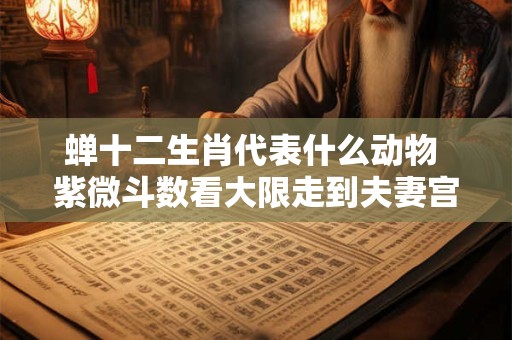 蝉十二生肖代表什么动物 紫微斗数看大限走到夫妻宫