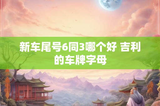 新车尾号6同3哪个好 吉利的车牌字母