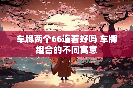 车牌两个66连着好吗 车牌组合的不同寓意