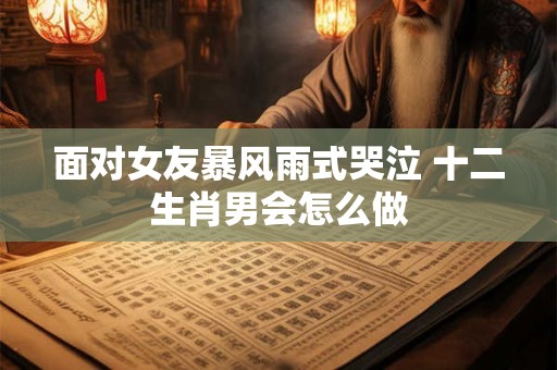 面对女友暴风雨式哭泣 十二生肖男会怎么做