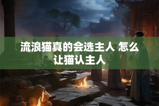 详细阅读:流浪猫真的会选主人 怎么让猫认主人 流浪猫真的会选主人 怎么让猫认主人