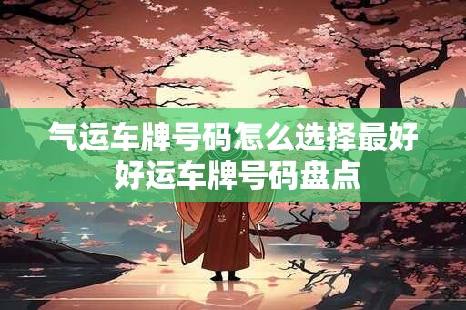 气运车牌号码怎么选择最好 好运车牌号码盘点