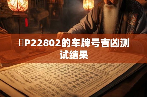 魯P22802的车牌号吉凶测试结果