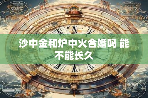 沙中金和炉中火合婚吗 能不能长久