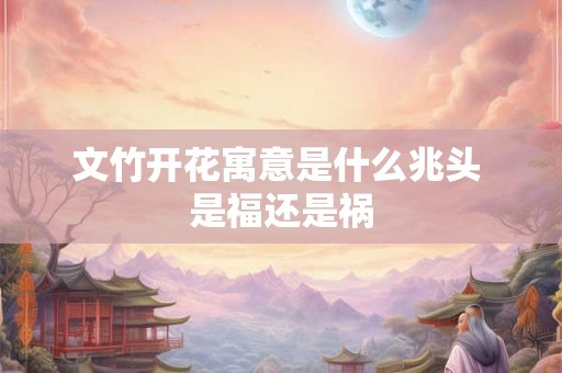 文竹开花寓意是什么兆头 是福还是祸