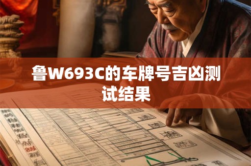 鲁W693C的车牌号吉凶测试结果