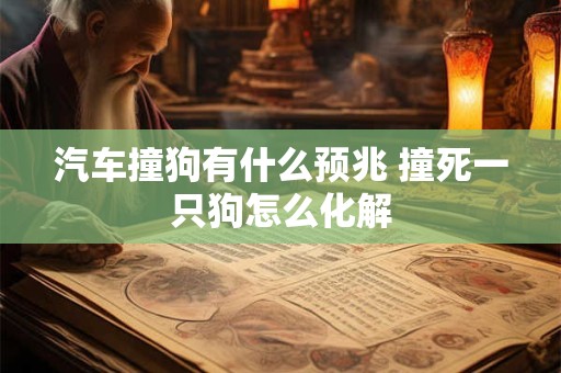 汽车撞狗有什么预兆 撞死一只狗怎么化解