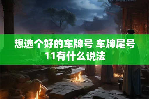 想选个好的车牌号 车牌尾号11有什么说法