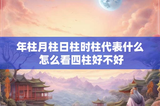 年柱月柱日柱时柱代表什么 怎么看四柱好不好