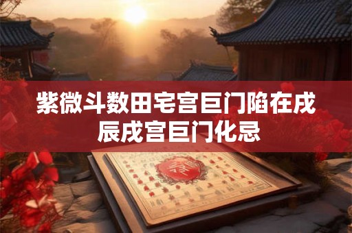 紫微斗数田宅宫巨门陷在戌 辰戌宫巨门化忌