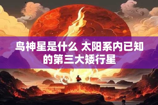 详细阅读:鸟神星是什么 太阳系内已知的第三大矮行星 鸟神星是什么 太阳系内已知的第三大矮行星