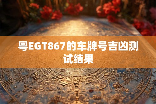 粤EGT867的车牌号吉凶测试结果