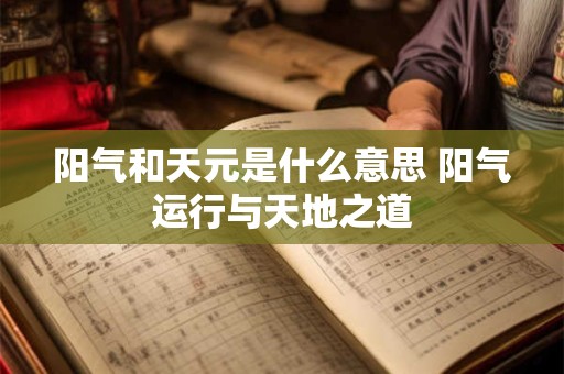 阳气和天元是什么意思 阳气运行与天地之道